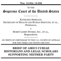 Supreme court briefs sales